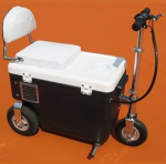 cruzin' cooler electric scooter