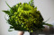 green eco-friendly flowers