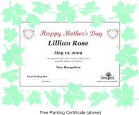 gifts for eco moms